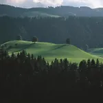 Schlafschloss 2* Sumiswald