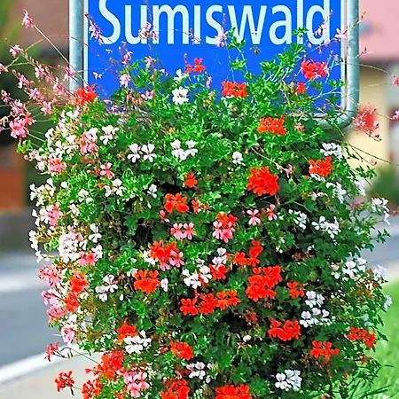 Schlafschloss Sumiswald