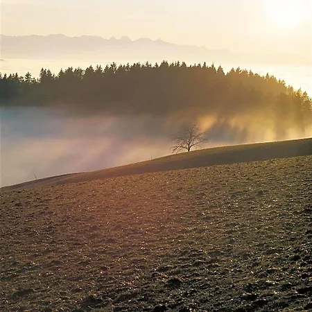 Schlafschloss B&B