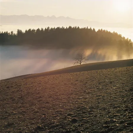 Schlafschloss 2* Sumiswald