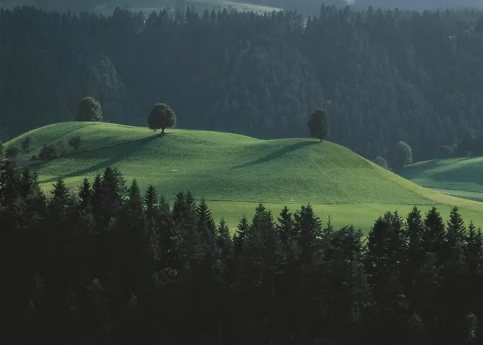 Schlafschloss 2* Sumiswald