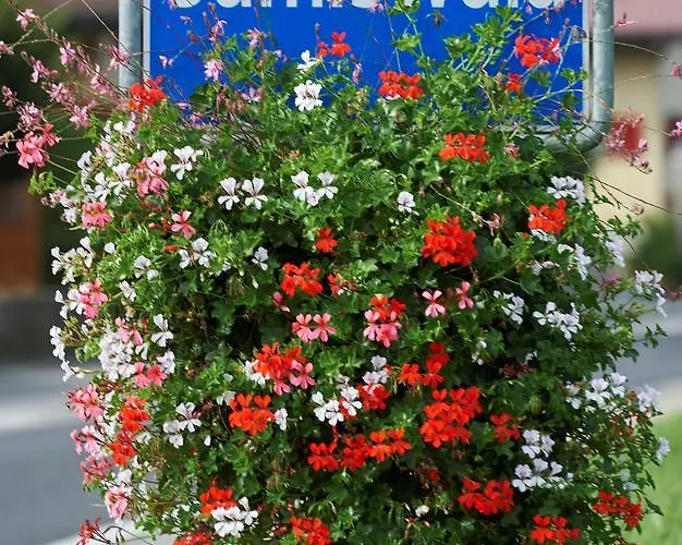 Schlafschloss فندق مبيت وإفطار 2*